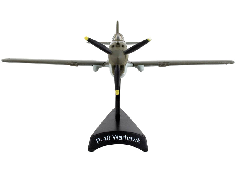 Curtiss P-40 Warhawk Fighter Aircraft