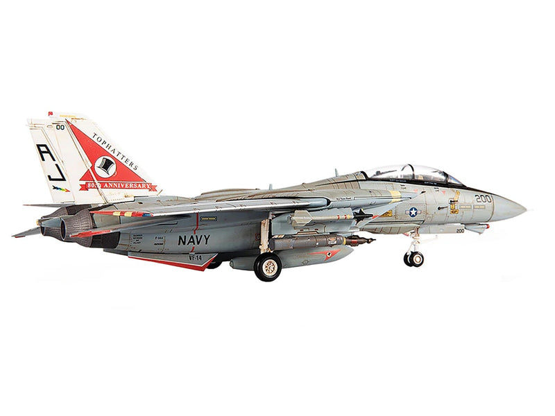 Grumman F-14A Tomcat Fighter Aircraft 